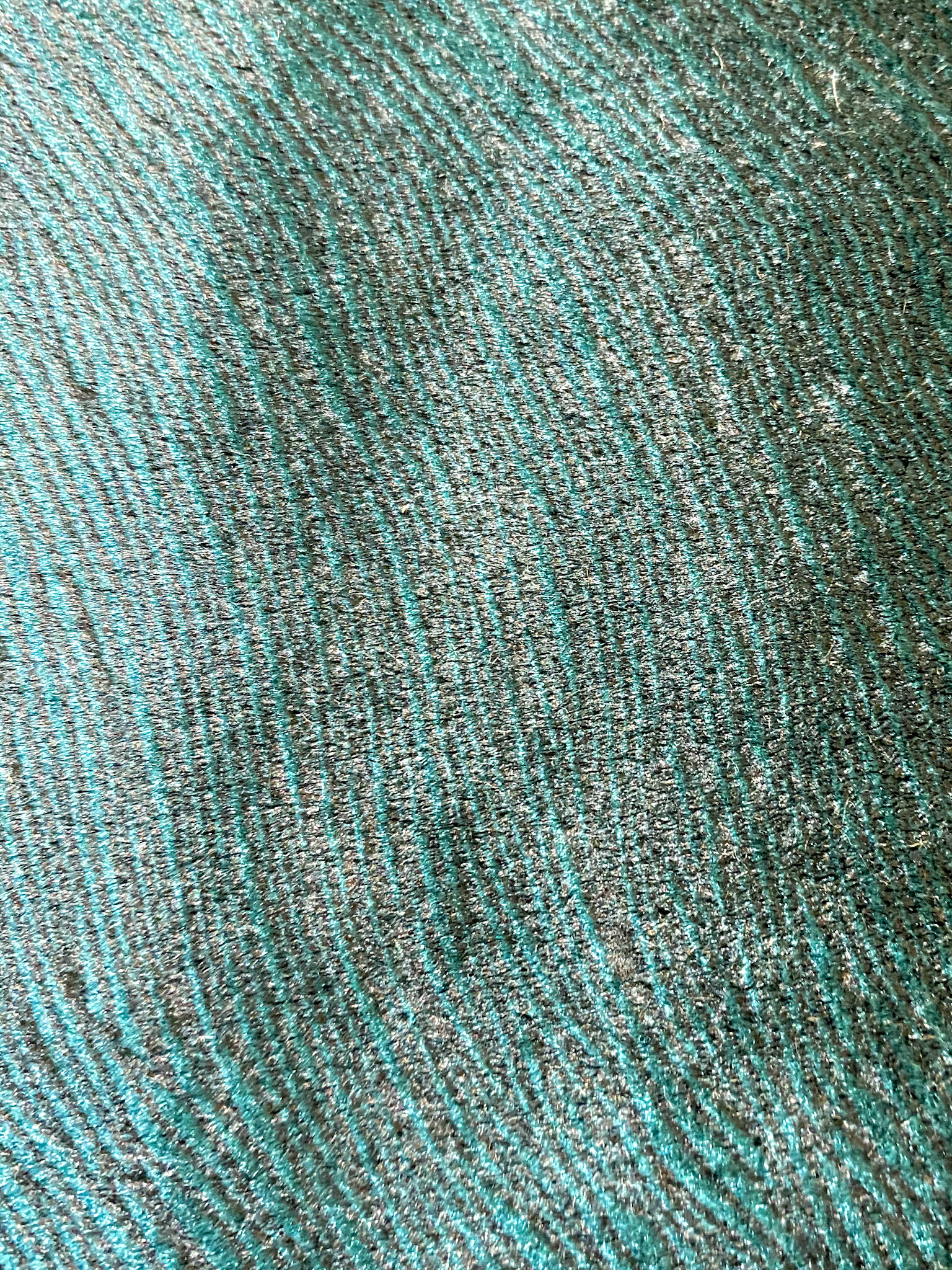 Allegra Peacock