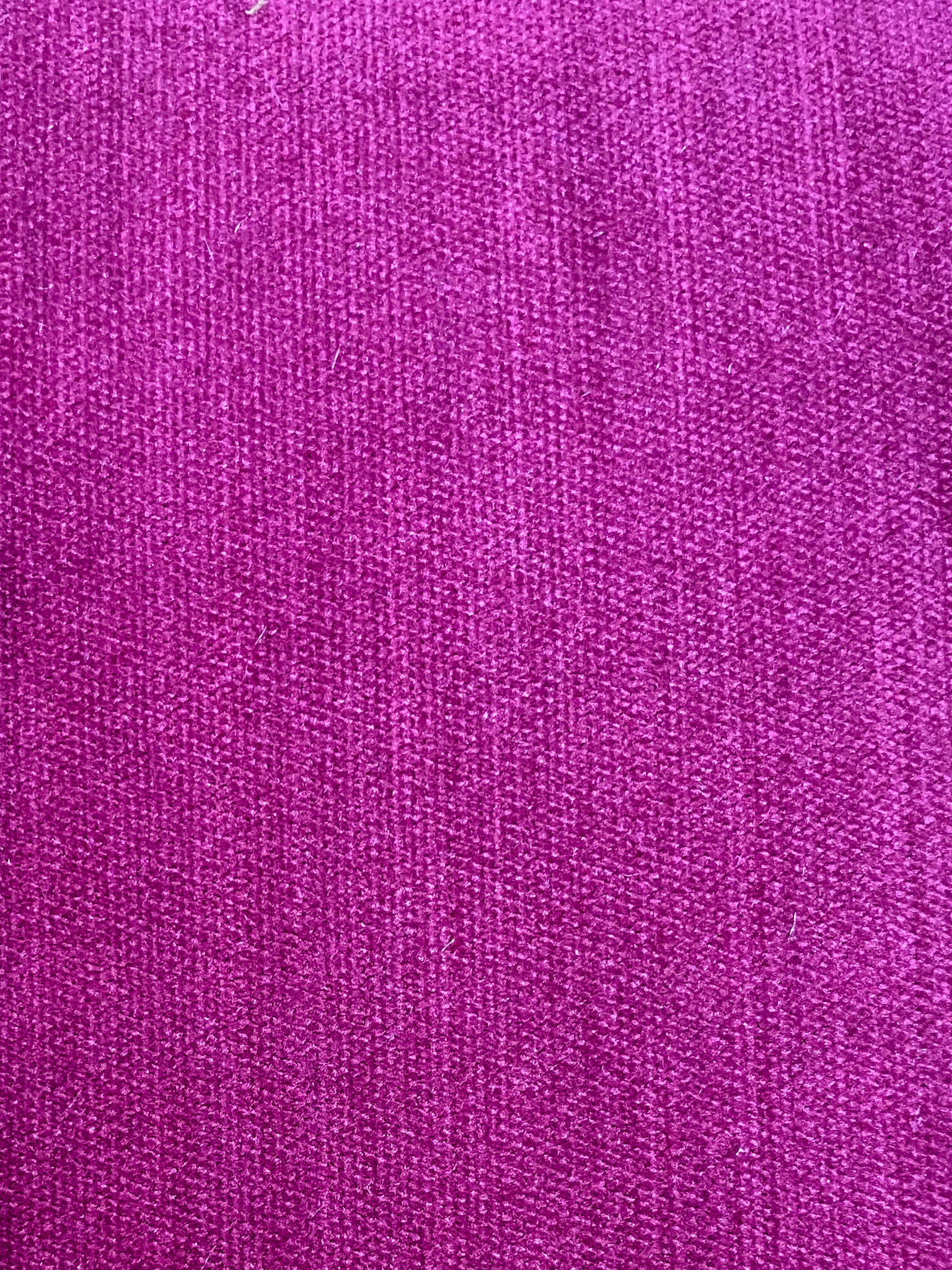 Medici Fuchsia