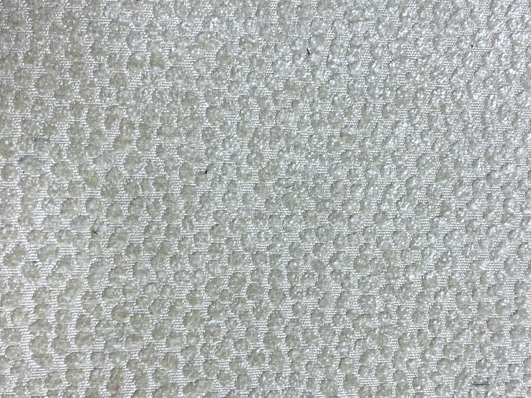 Milan Oyster