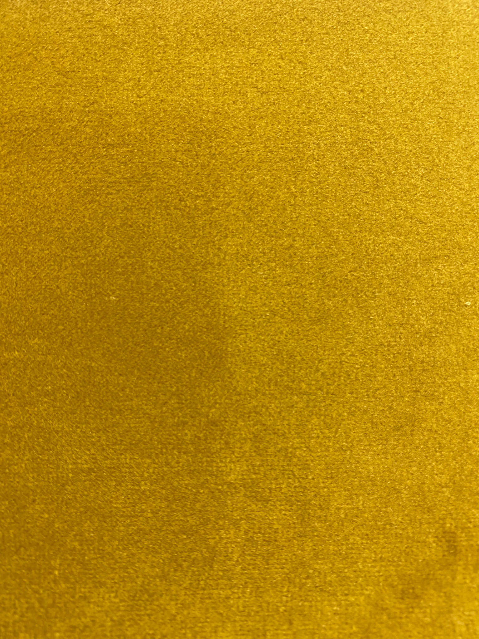 Plush Velvet II Tumeric