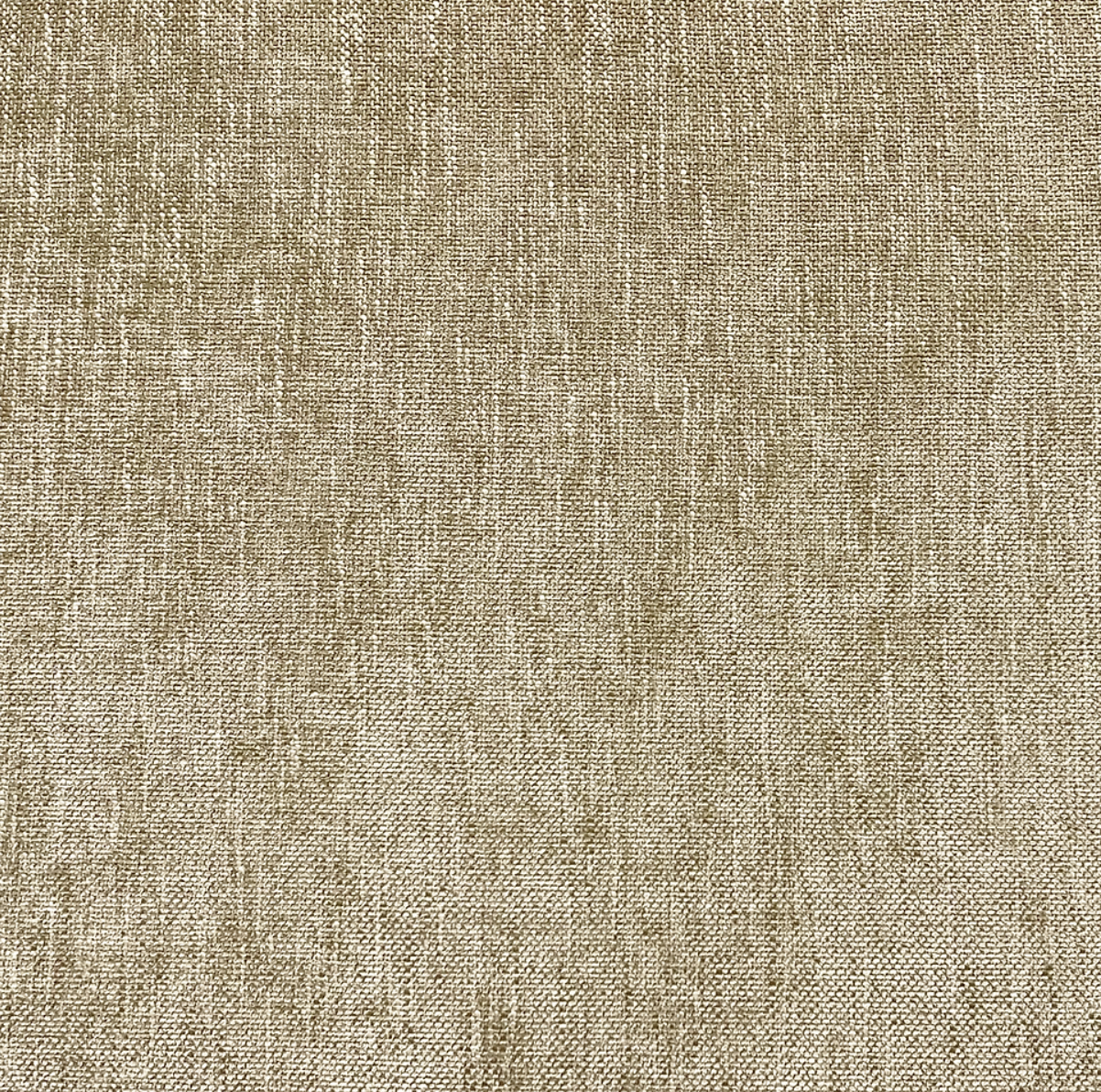 Abalone - 0701