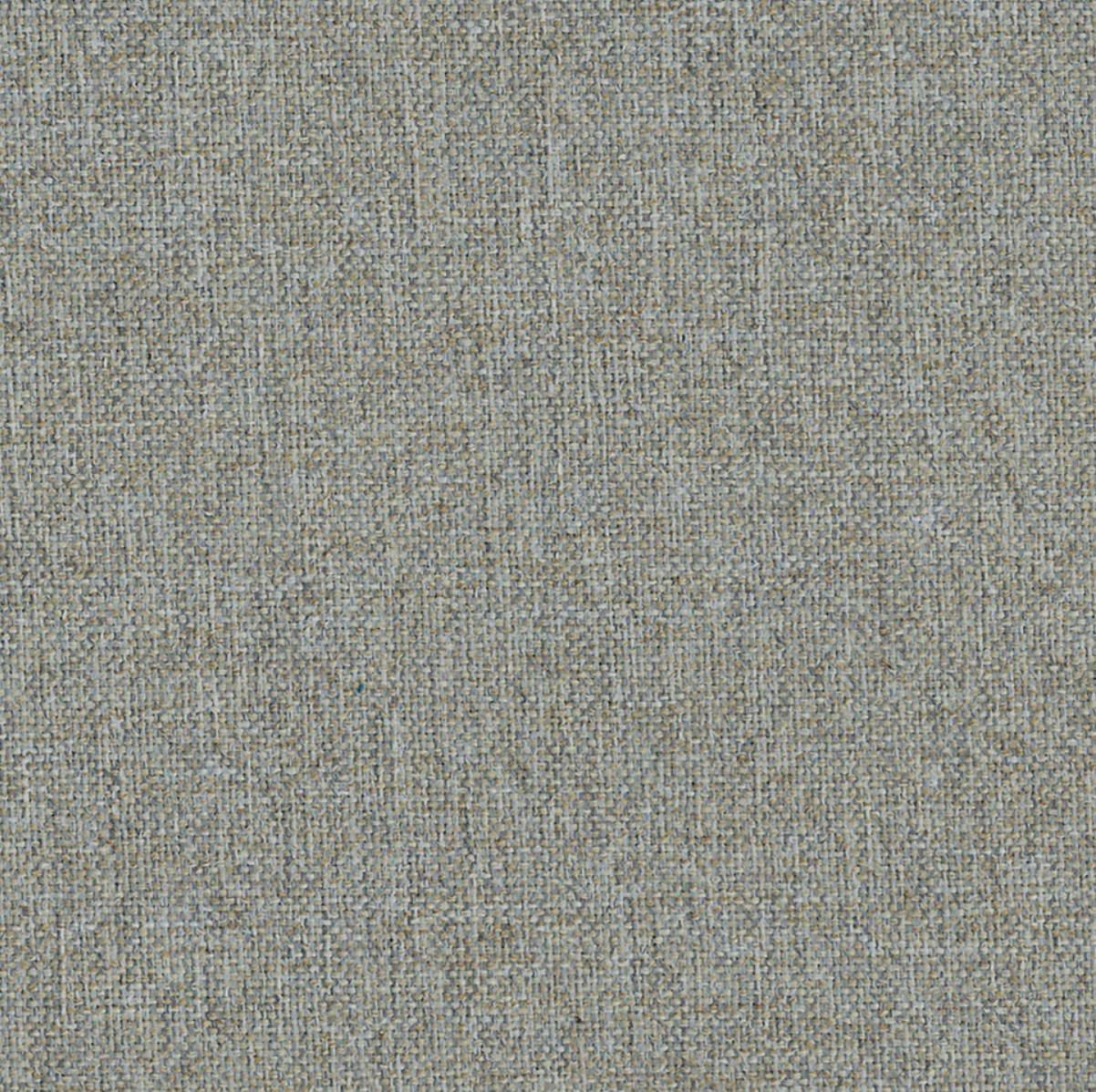 Mushroom - 0387