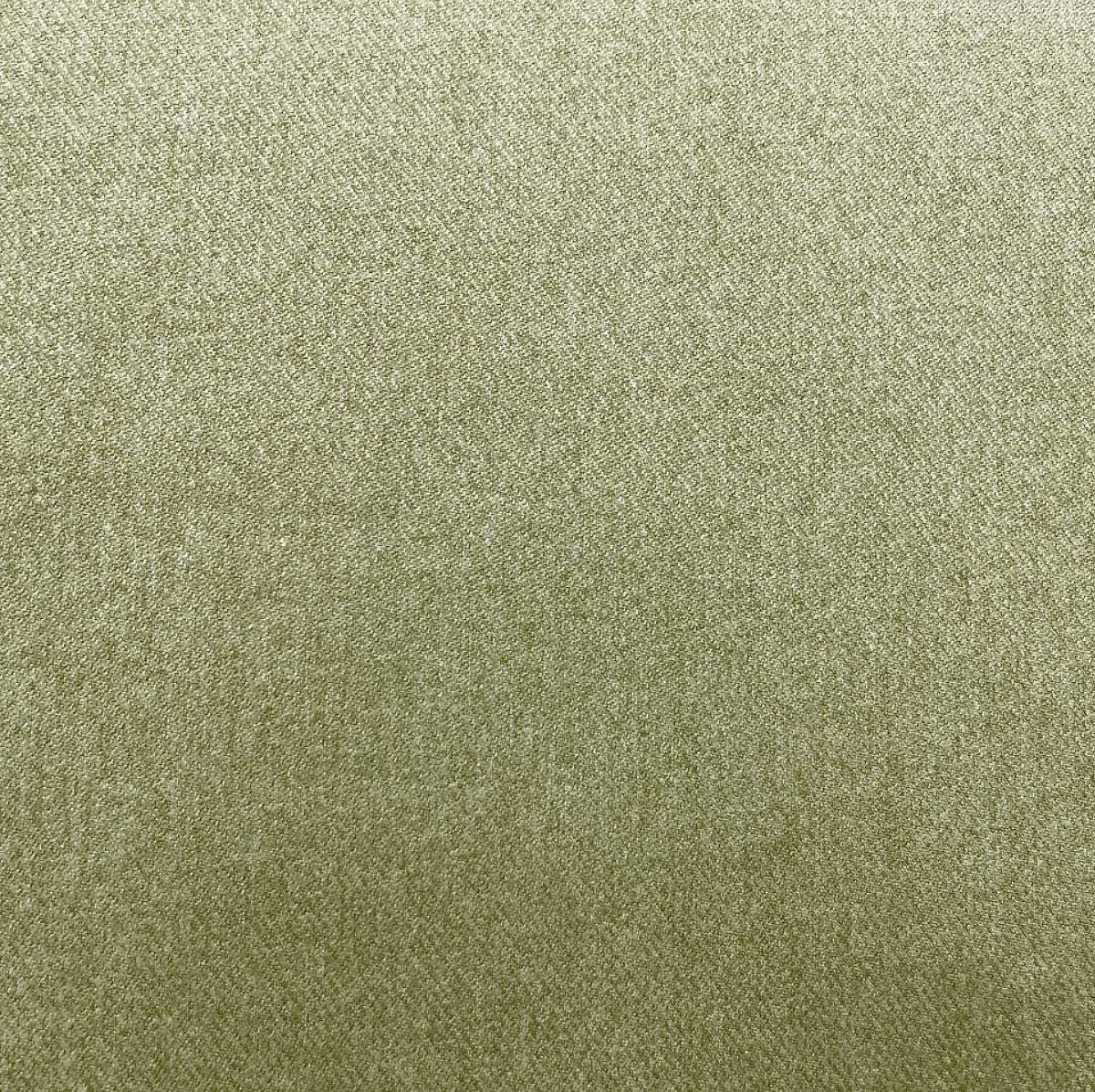 Sage - 0433